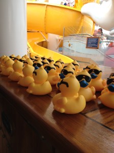 Rubber Duckies were purchased for $5 each.