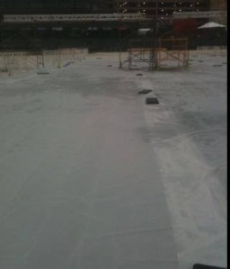 The finish line was a solid sheet of ice.  This photo was taken by a volunteer and posted on the Memphis Runners Track Club Facebook page.