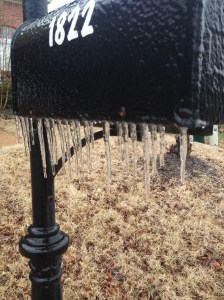 Ice accumulations thwarted race plans.