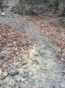 This hill was more steep than it looks.  It's where I took my first muddy tumble.